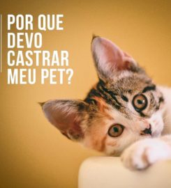 PETSHOP SALÃO DOG