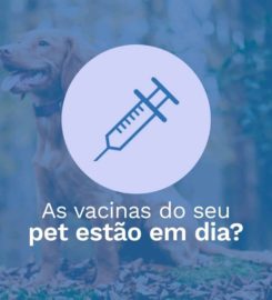 PETSHOP SALÃO DOG